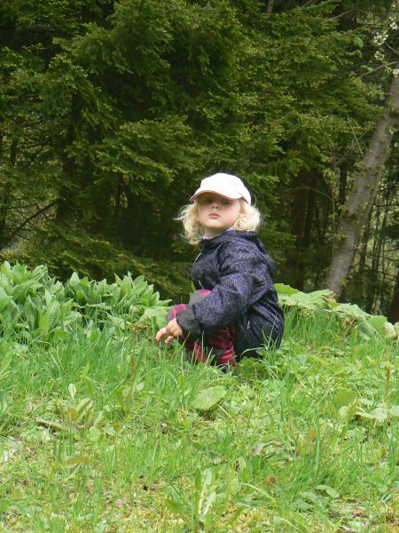 gal/2014/05 Sumava_techmania/P1170793.JPG